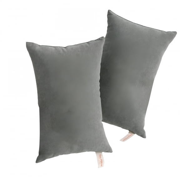 XIBUFE 2026 New Tiny Pillows, 2 Pack Microfiber Soft Small Pillows Machine Washable Travel Pillows for Car, Plane, Camping, Nap 11 X 7 Inches, Gray