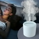 thumbnail image 1 of Humidificador USB de doble boquilla de gran capacidad de 1 litro para electrodomésticos, humidificador de escritorio para oficina, dormitorio y sala de estar., 1 of 9