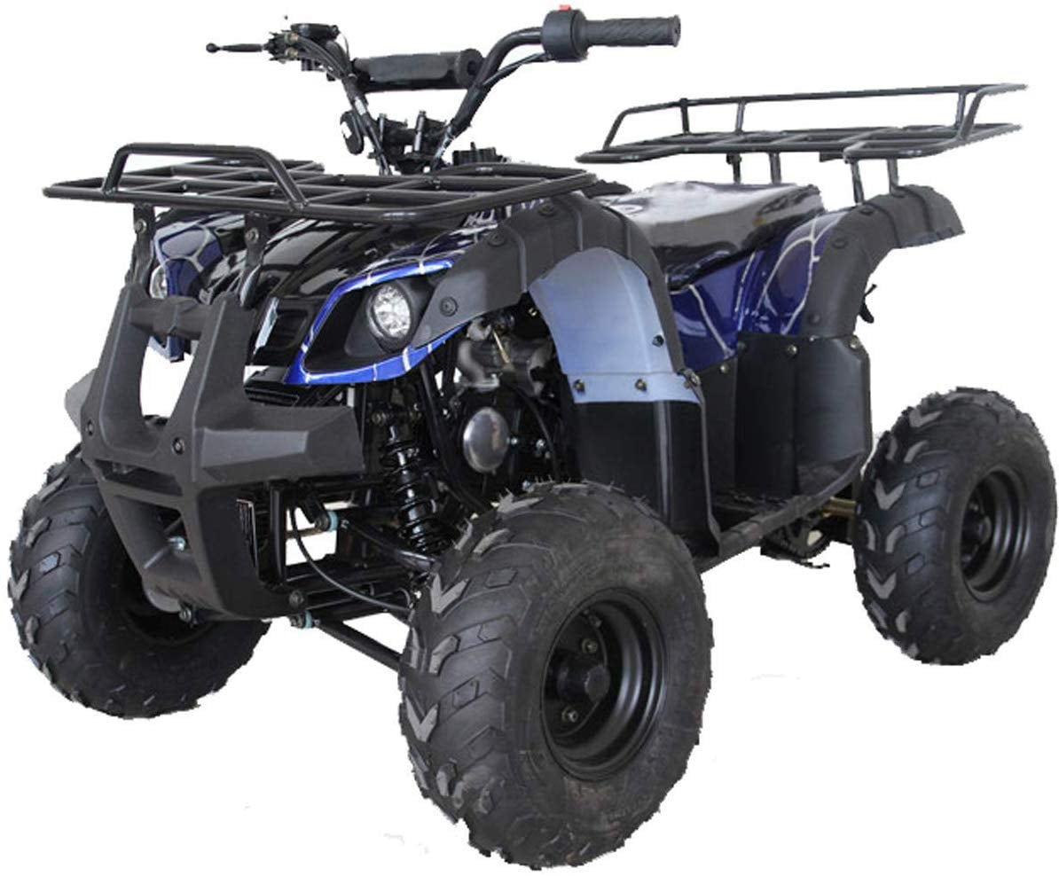Tao Motor ATA 125D 125cc ATV with Electric Start and Reverse