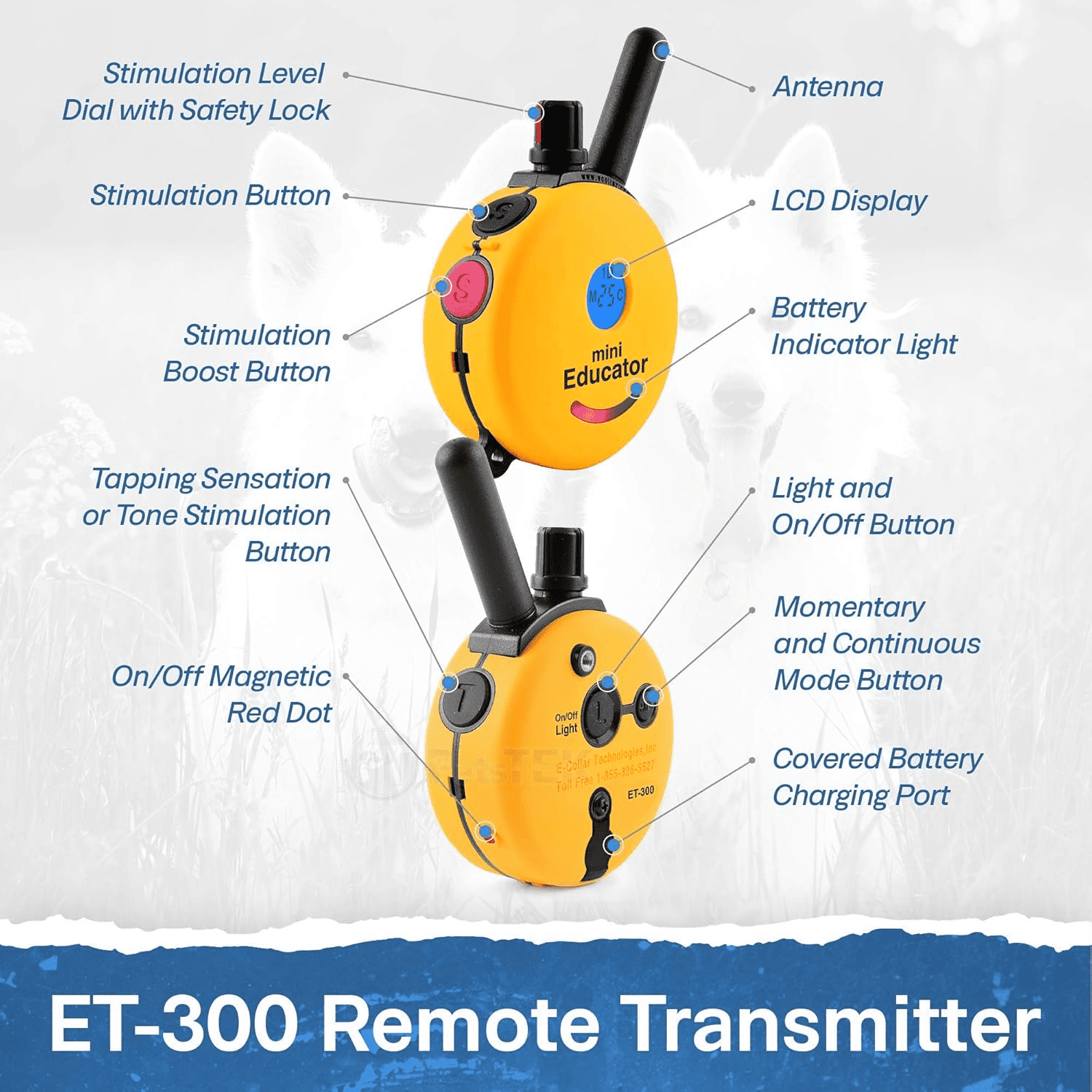 E-Collar  ET-300/302 Mini Educator Replacement Remote Transmitter - ½‑Mile Dog Remote with 100 Levels, Tone & Vibration, Waterproof, 1 Humane‑Dog System