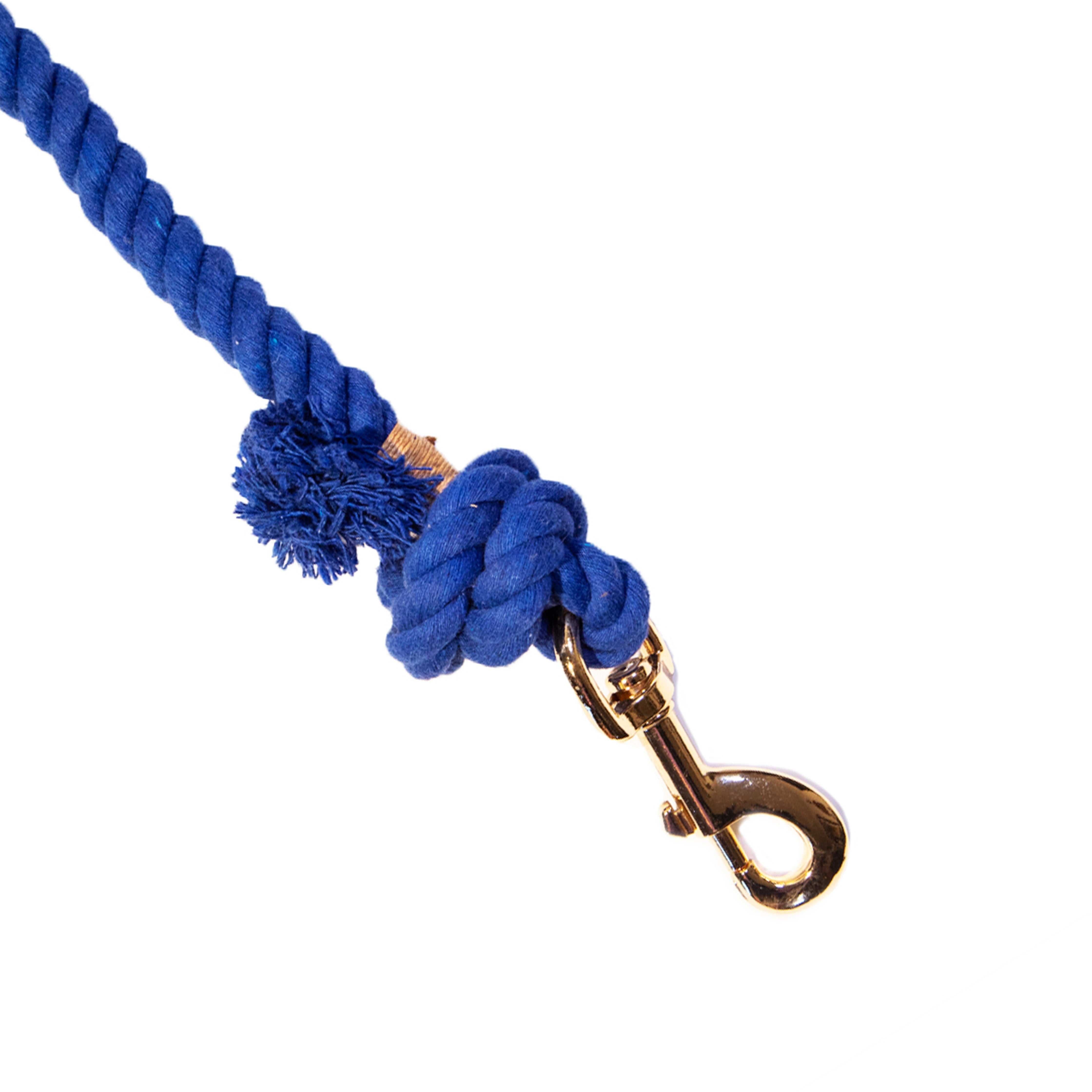 Glow Pups 5 Foot Rope Boho Chic Dog Standard Leash, Blue