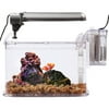 Hawkeye Deco Aquarium Kit for 2 Gallon Tank