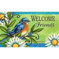 thumbnail image 1 of RYLABLUE Tapis de Sol Bluebird Tapis de Sol Extérieur/intérieur Taille 30x18 Pouces, 1 of 1
