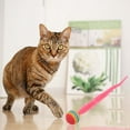 thumbnail image 4 of Jouet pour Chat d'Intérieur Chat Rebondissant avec Queue Jouet Ver de Chat, 4 of 7
