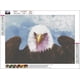 thumbnail image 2 of Otra decoración de pared Kits de pintura de diamante de águila para adultos principiantes Animal redondo taladro completo Diy 5d kits de arte de diamante pintura de diamante para niños diamantes, 2 of 5