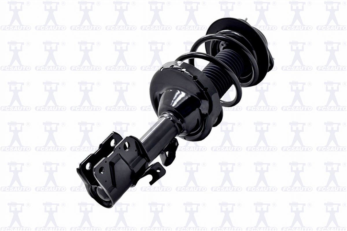 Suspension Strut and Coil Spring Assembly