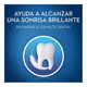 thumbnail image 2 of Enjuague bucal Oral-B White Whitening Blanqueador 473 ml, 2 of 3