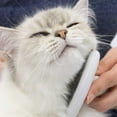 thumbnail image 2 of Catit Poil Long Cat Trousse de Toilettage, 2 of 7