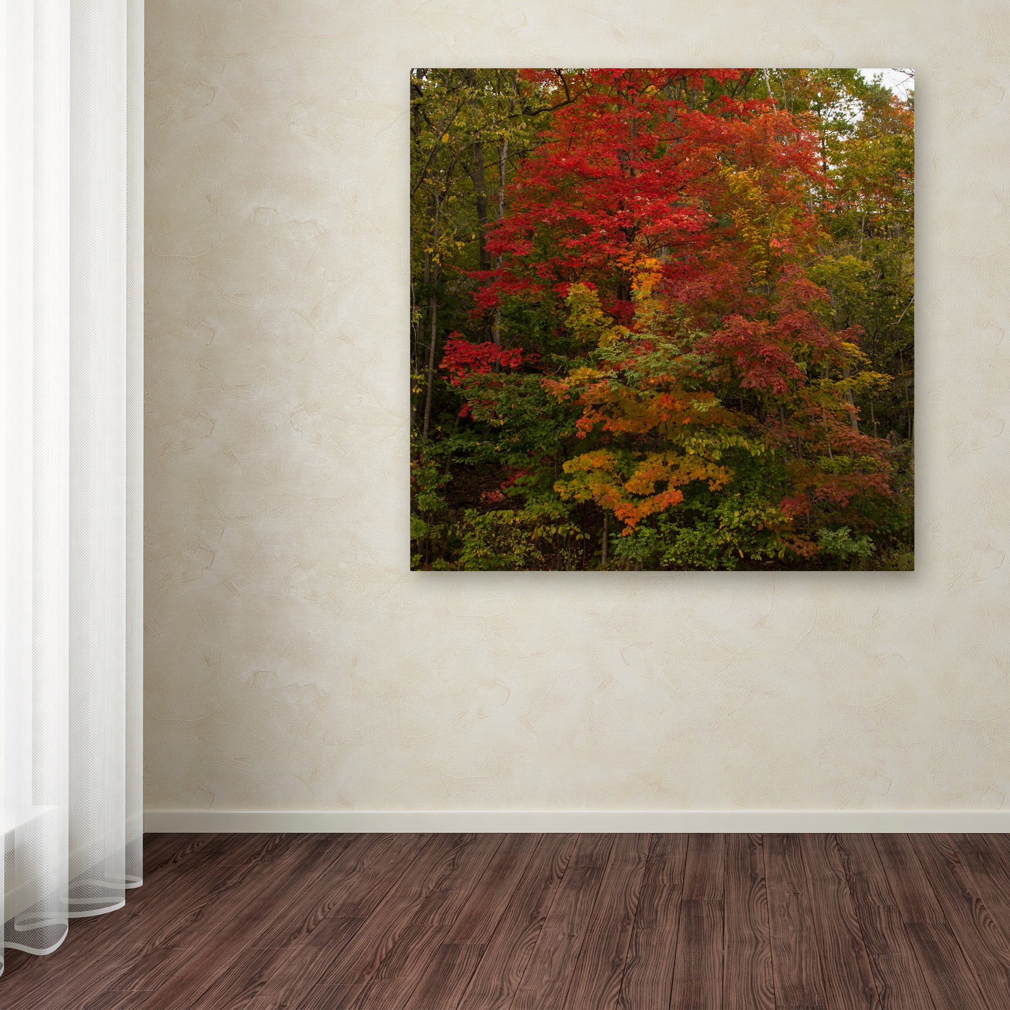 Trademark Fine Art "Why I Love Autumn 2" Canvas Art by Kurt Shaffer