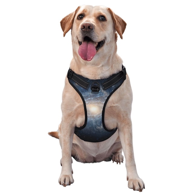Balery The Galaxy Arnés para Perros Grandes Antitirones, Arnés con Correa para Gato, Arnés Tipo Chaleco para Perros Pequeños-Large