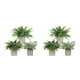 thumbnail image 2 of Matsuzay 3 unids/set belleza de la naturaleza en interiores con pequeñas plantas artificiales de eucalipto decoración del hogar de bajo TZ055 2Conjunto, 2 of 6
