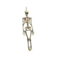 thumbnail image 4 of Decoración de esqueleto de Halloween Macarena Colgante Mini esqueleto con articulaciones, 4 of 8