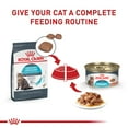 thumbnail image 6 of Royal Canin Feline Urinary Care Thin Slices in Gravy Wet Cat Food, 3 oz can (6-pack), 6 of 9