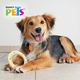 thumbnail image 2 of Juguete Red Alert Sabor Pollo Masticable Perro Fancy Pets Fancy Pets sabor pollo, 2 of 2