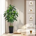 thumbnail image 2 of Ciervo volador artificial con forma de árbol de dracaena de 6 pies con maceta negra alta, 2 of 6