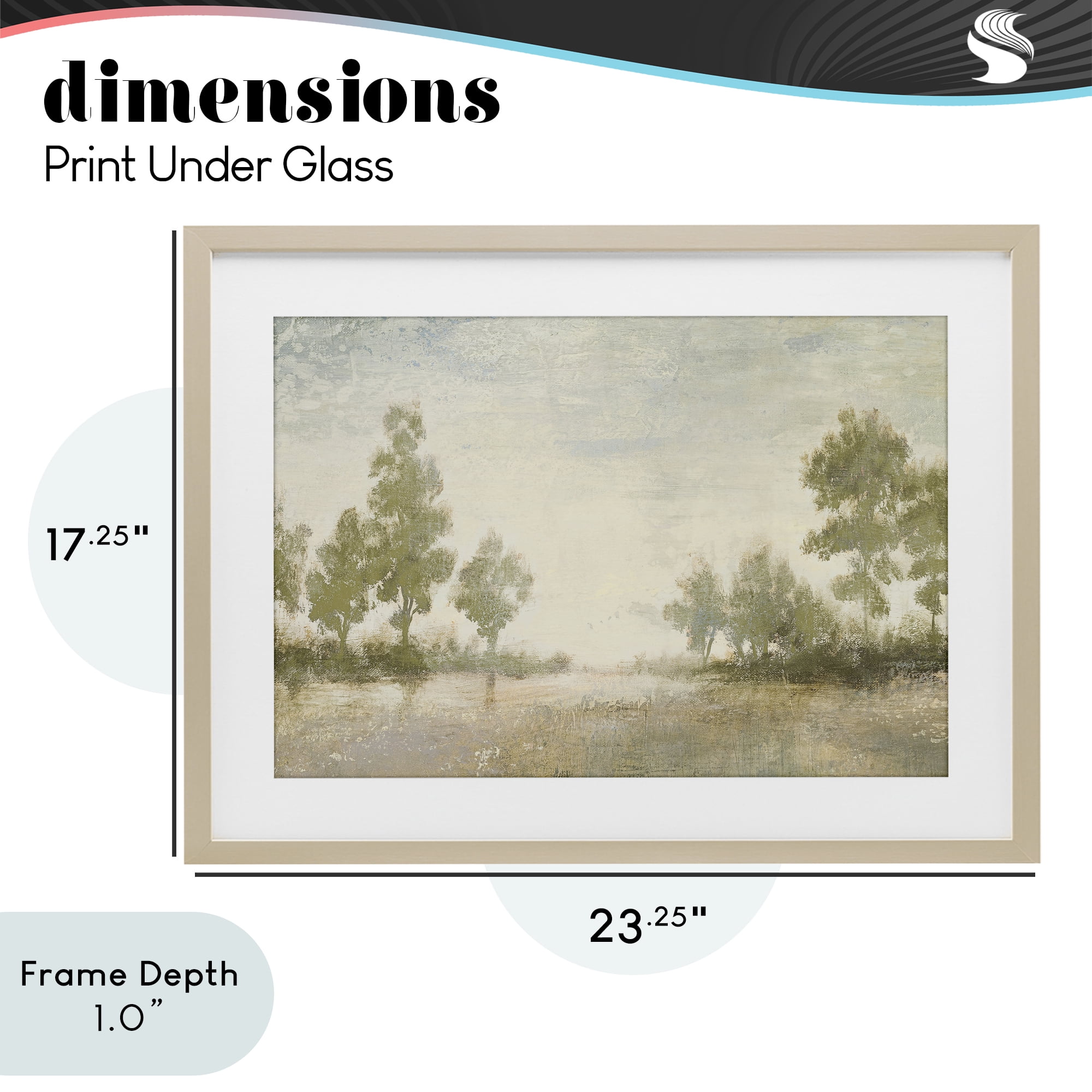 Stupell Industries Forest Light Distant Valley Birch Framed Print Under Glass, design by Michael Marcon