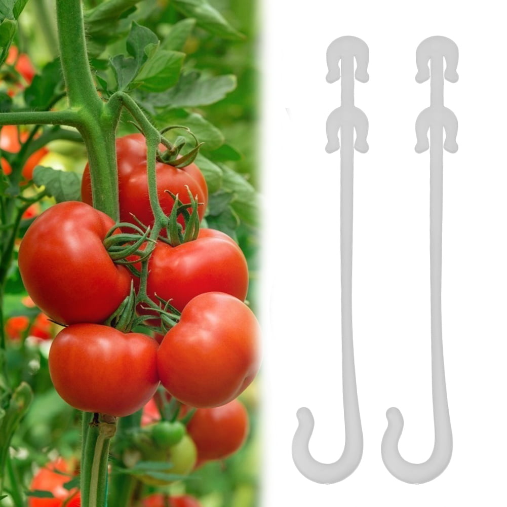 Plant tomato Support clip hook 50pcs Gardening cable Farming Bundle wire 