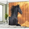 thumbnail image 5 of Ambesonne Nature Shower Curtain, Galloping Friesian Horse, 69"Wx84"L, Black Orange, 5 of 5