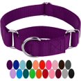 thumbnail image 1 of HSHDLDF Purple Martingale Heavy Duty Nylon Dog Collar 21 Vibrant Color Options (3/4 Inch Width, Small), 1 of 7