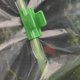 thumbnail image 3 of 20 Pack Greenhouse Film Retaining Clips, Laminated Plastic Clips For Sheds Banners, Frames And Row Covers 11mm Diameter, 3 of 3