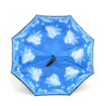 thumbnail image 3 of Patterned Double Layer Inverted Umbrella, 3 of 3
