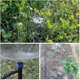 thumbnail image 5 of Auspicious-100 piezas de goteo de riego, microaspersor ajustable de 360 grados para tubo de riego de 1/4 (4-6 mm), para riego de césped de invernadero de jardín kaili Sencillez, 5 of 5