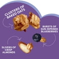thumbnail image 2 of Kashi Gut Health Blueberry Almond Granola, Prebiotics and High Fiber, Whole Grain, 8 oz pack of 1, 2 of 5