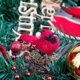 thumbnail image 3 of Pájaro Rojo de Navidad Pájaro de Navidad Decoración Navideña Observación de Aves Navideñas Adorno de Decoración de árbol de Navidad 9x4cm ANGGREK Otros, 3 of 8