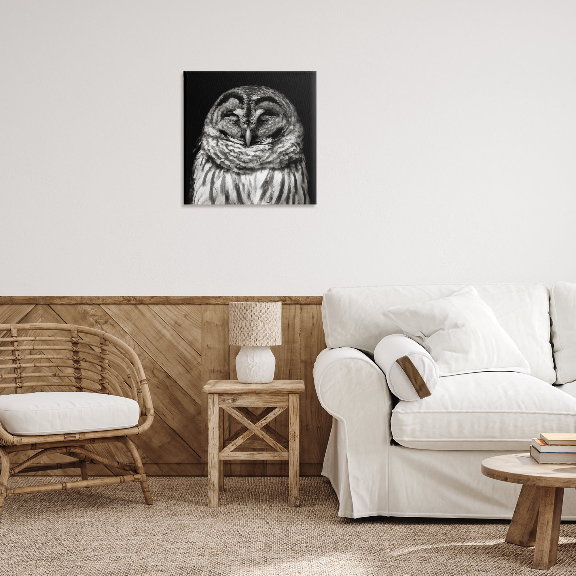 Stupell Industries Sleeping Owl Portrait Animals & Insects Photography Gallery Wrapped Canvas Art Print Wall Art, 24 x 24