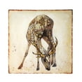 thumbnail image 2 of Jeco HD-WD005 30 in. Deer Canvas Art, 2 of 3