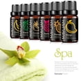 thumbnail image 2 of MAYJAM 8Pcs Fragrance Oil Set Fruit Essential Oils for Diffusers, Candle Making (8X10Ml), 2 of 8