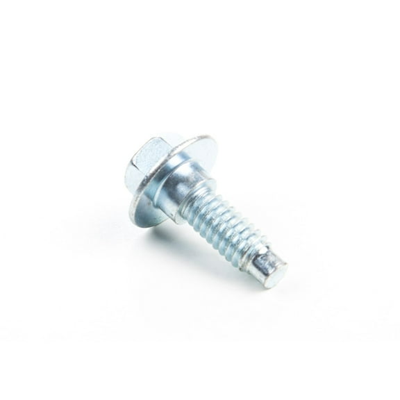 Briggs & Stratton Screw | 799370