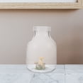 thumbnail image 3 of WHAMVOX 3Pcs Plants Jars Breathable Mushroom Growth Container Bottle with Lid(650ml), 3 of 8