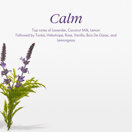 Safely Plugin Scent Diffuser, Air Freshener, Universal Refills, Calm Scent, .67 oz, 2 Count