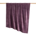thumbnail image 4 of Mainstays Super Soft Plush Oversized Couch Throw Blanket, Purple, 50 x 72 in, 4 of 7