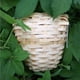 thumbnail image 5 of 2 piezas de pajarera de bambú Kusrkot decoración de jardín tipo huevo, 5 of 8
