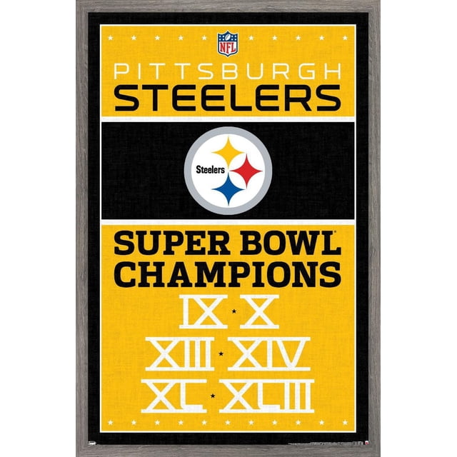 NFL Pittsburgh Steelers - Champions 13