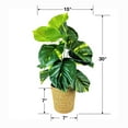 thumbnail image 6 of LCG Florals Artificial Plant, Pothos Plant, 2.5 ft, Natural Decorative Basket, 6 of 6