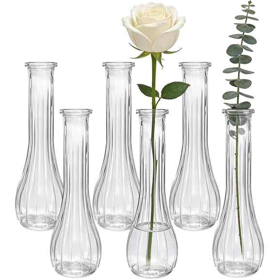 Glass Bud Vases for Centerpieces, 6 Pack Clear Small Flower Vases for Wedding De