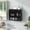 Antique Black + Steel + Tempered Glass, variant on 2-Door Wall-Mounted Metal Storage Cabinet with Tempered Glass Doors & Shelves for Bathroom, Kitchen, Living Room & Office WL