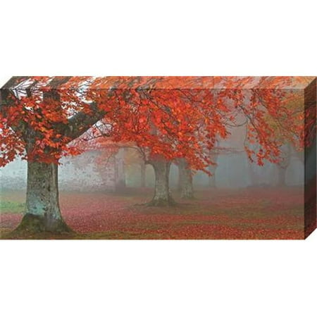 - North American Art NC2043 15 x 30 in. Arboles Rojos Canvas Gallery Wrapped Art Print