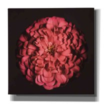 Epic Graffiti 'Portrait of a Zinnia' by Leah McLean,, 37"x37"