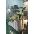 thumbnail image 2 of LED Grow Lights for Indoor Plants 4 Pack, Smart USB Small Full Spectrum Plant Lights with Remote, Height Adjustable, Auto On/Off, 2 of 6