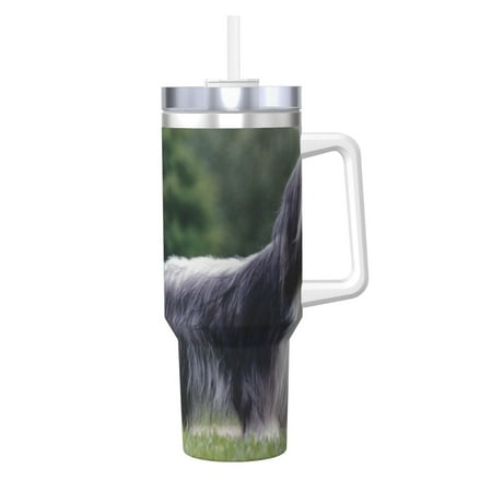 

Bearded Collie Beardie Curly Gray Dogs Pets 40oz Car Insulated Cups Ice Bully Cup with Handle Double Stainless Steel Vacuum Tumblers Water Bottle with Lid and Straw