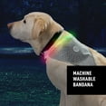 thumbnail image 4 of Nite Ize NiteHowl Bandana Rechargeable LED Safety Necklace - Adjustable Dog Accessories for Safety - Dog Collar with LED Light & Reflective Bandana - Dog & Puppy Supplies - Grey, 4 of 8