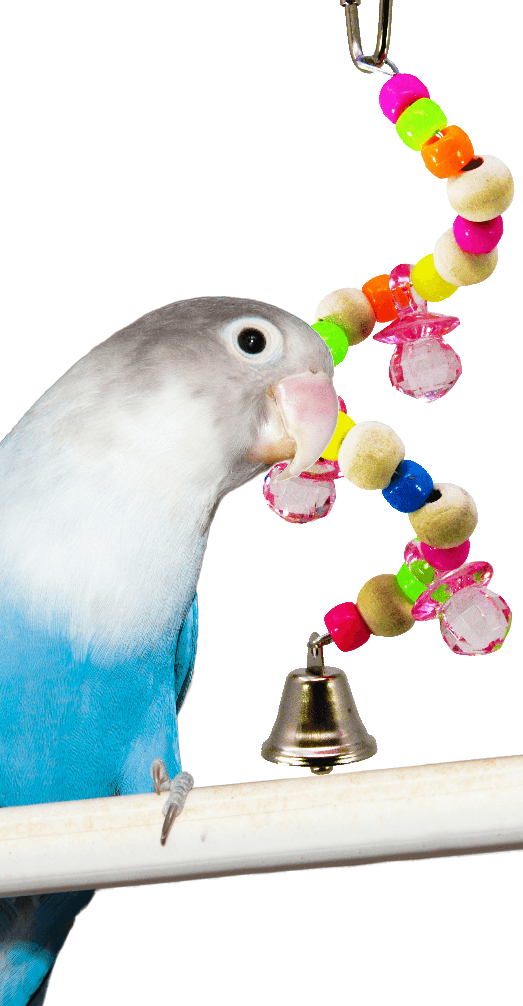 bird toys walmart