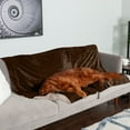 thumbnail image 6 of FurHaven Pet Products Extra Large Waterproof Velvet Pet Blanket for Dogs & Cats, Brownstone, 6 of 12