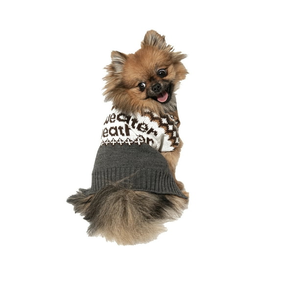Vibrant Life Halloween Sweater for Dogs & Cats, Sweater Weather, Brown, Extra Small