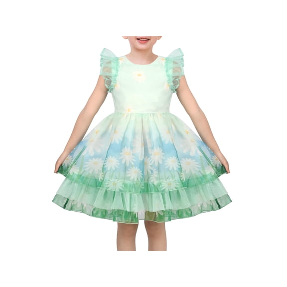 Sunny Fashion Girls Dress Sheer Tulle Overlay Daisy Ruffle Tiered Ballet Fancy Ball Fairy 4 Years