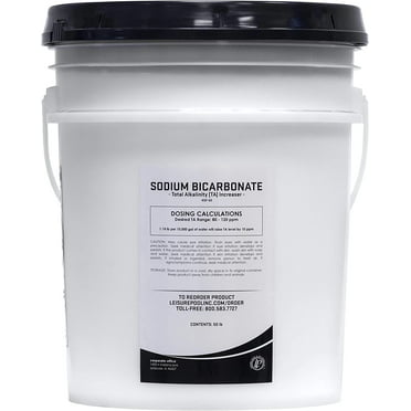 Leisure Pool Total Alkalinity Increaser (Sodium Bicarbonate) | 50 lb. Pails